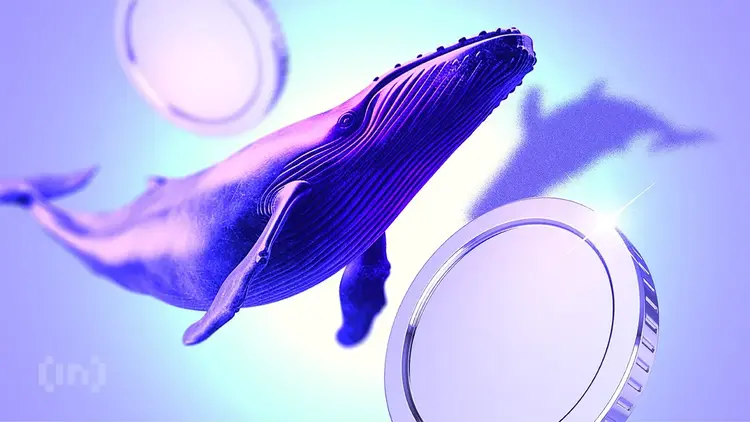 巨鲸逢低买入:机构投资者对比特币和以太坊的需求激增,双重令投资者振奋